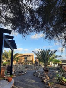 Jardín de la Villa con cuatro apartamentos independientes en Lajares