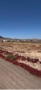 Vistas al pueblo desde terreno en La Oliva Fuerteventura