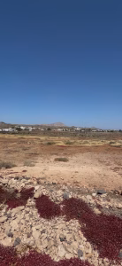 Parcela 1 en La Oliva