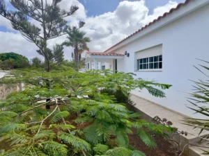 Fachada lateral de la casa con zona ajardinada y vistas a Tindaya