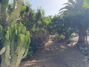 Jardín exterior de la casa independiente de Lajars